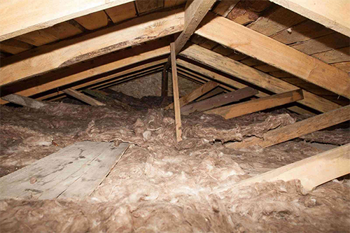 Attic Insulation